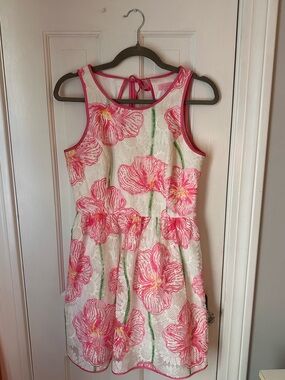 Lilly Pulitzer Darcelle Embroidered Organza Dress